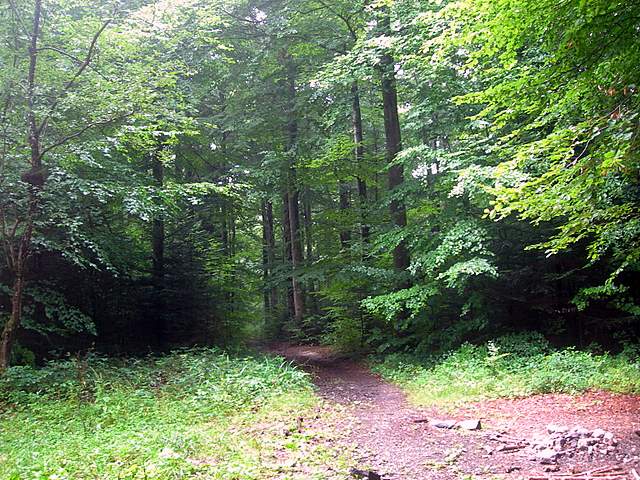 Le colline prodigiose della valle del Leimental